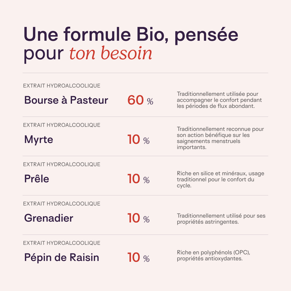 Flux Tranquille