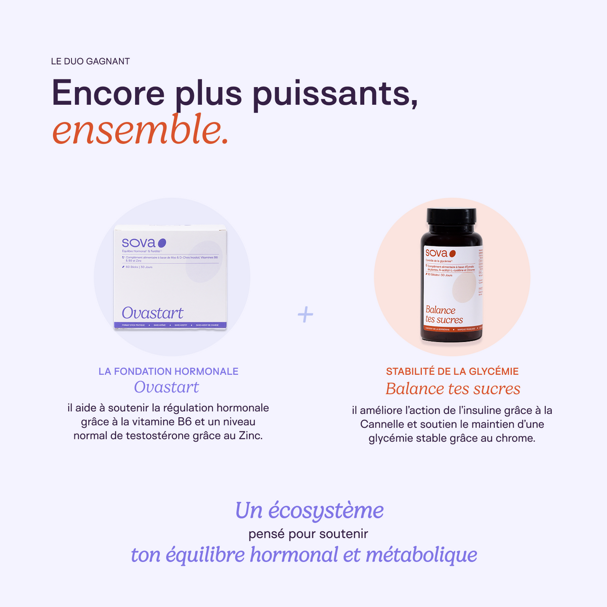 Pack Équilibre